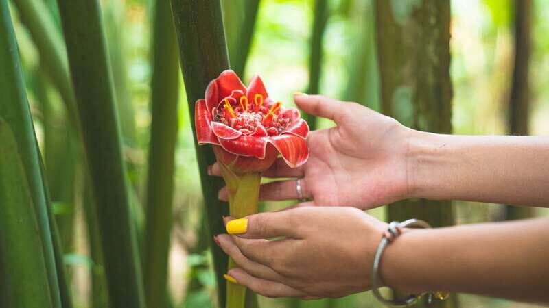 Huatulco: Nature Park with Fruit Tasting & Optional Zipline - Practical Details and Tips