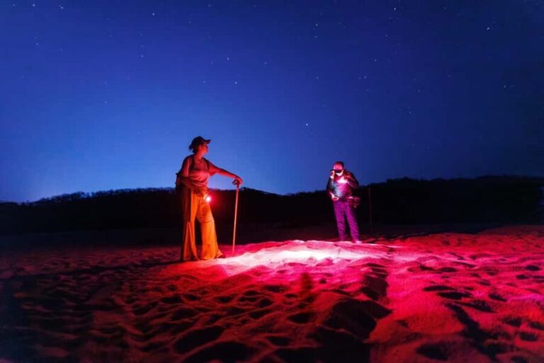 Huatulco: Nighttime Sea Turtle Monitoring guided by a biologist - Authenticity and Conservation Focus