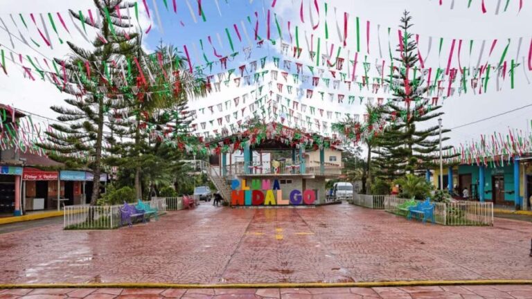 Huatulco: Pluma Hidalgo Coffee Origin and Essence. - Scenic Drive and Arrival in Pluma Hidalgo