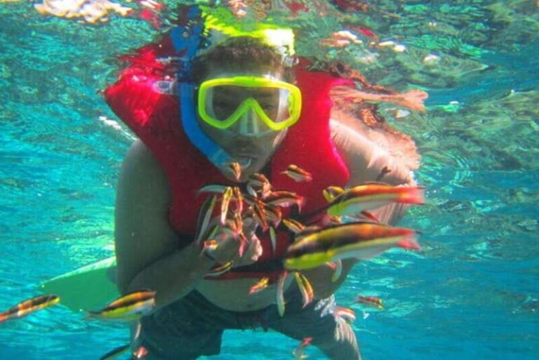 Huatulco: Premium Family Snorkeling Experience - What Makes This Tour Stand Out