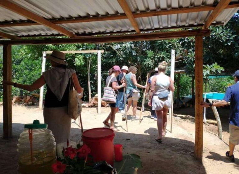 Huatulco: Private Coffee and Fruit Ranch Experience - A Walk Through the Fruit Orchard