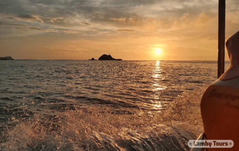 Huatulco: Sunrise Dolphin Watching with Beach Visit - What’s Included and What to Keep in Mind