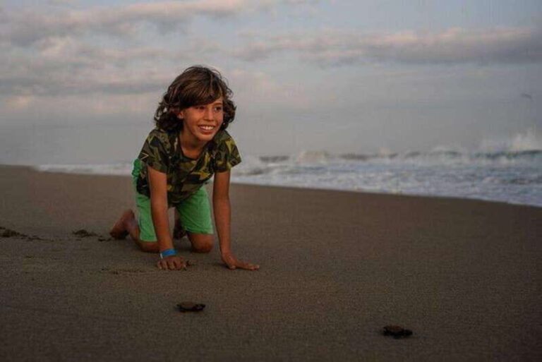 Huatulco: Unique Turtle Sanctuary & Sunset Experience - The Logistics and Group Experience