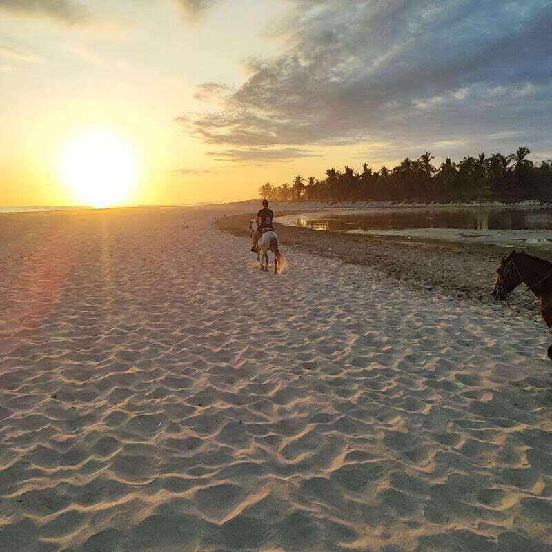 Huatulco:Turtle release,horseback riding and bioluminescence - What’s Included and What’s Not