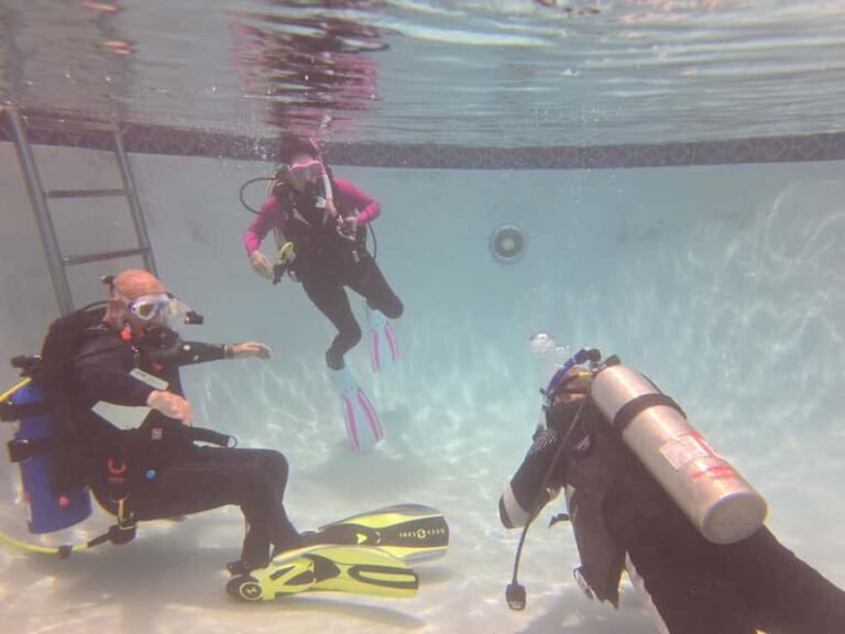 HUDSON, FL: PADI Discover Scuba Diving Experience - What to Expect During Your Session