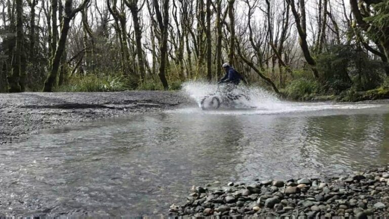 Humboldt: Electric Bike Rentals (4-Hour or Full Day options) - What to Expect from Your E-Bike Adventure