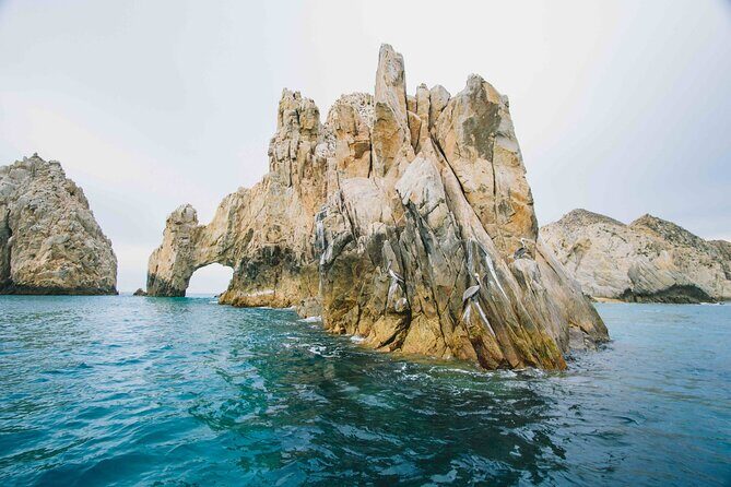 Humpback Whale Watching Private Tour Lead by Marine Biologist - The Itinerary: A Closer Look