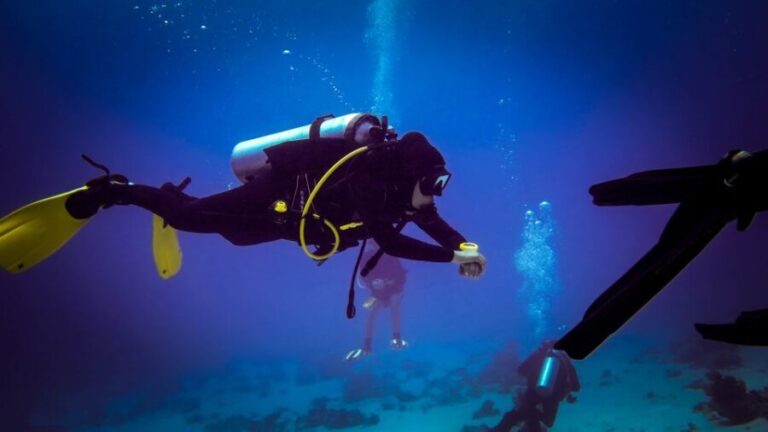 Hurghada: 1, 2, 3, 4, or, 5-Day Scuba Diving Package - The Value of the Experience