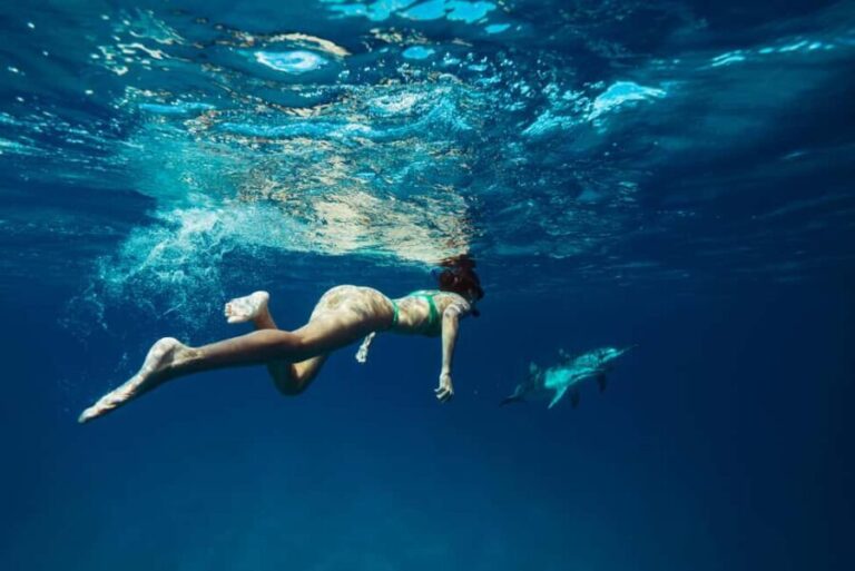 Hurghada: All-Inclusive Elite VIP Dolphin House & Massage - Practical Considerations & Tips