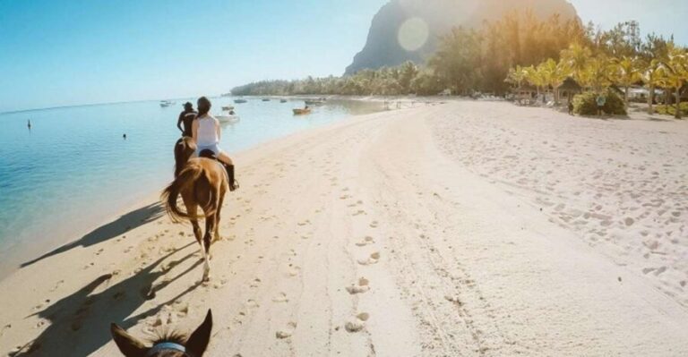 Hurghada: Desert and Sea Horseback Riding Tour with Transfer - The Value of This Tour
