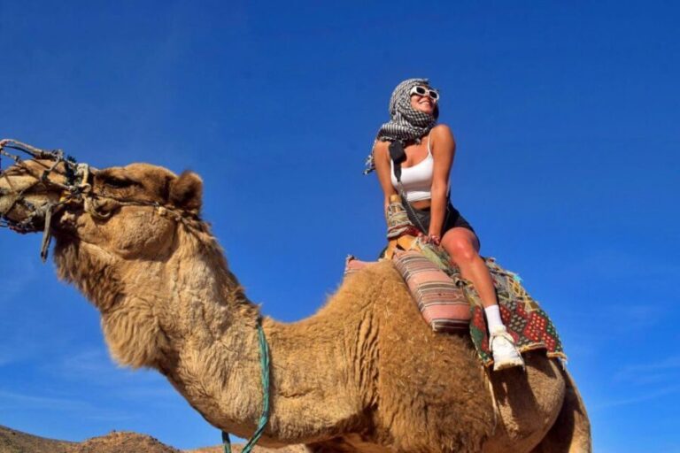 Hurghada: Desert Quad, Bedouin Village, and Camel Ride Tour - Final Thoughts: Why We Recommend This Tour