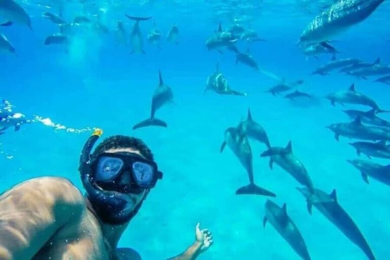 Hurghada: Dolphin & Coral Reef Snorkeling Tour with Lunch - The Itinerary: A Breakdown