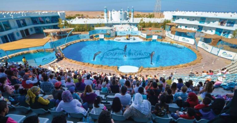 Hurghada: Dolphin World Show with Walruses and Pickup - Who Should Consider This Tour?