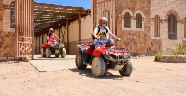 Hurghada: Full-Day Quad & Camel Ride, Stargazing, & Dinner - What the Reviews Say