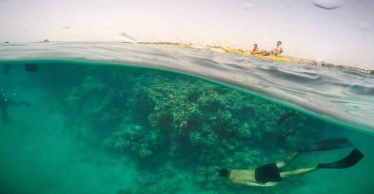Hurghada: Full-Day Snorkeling Tour in Sharm El Naga w/Lunch - What to Expect During the Day