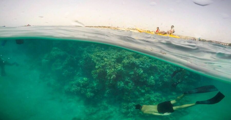 Hurghada: Full-Day Snorkeling Tour in Sharm El Naga w/Lunch - What to Expect During the Day