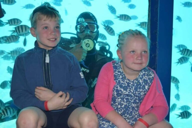 Hurghada: Orca Hyperion Semi-Submarine Tour with Snorkeling - Assessing the Value