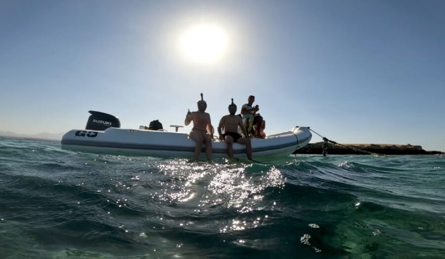 Hurghada: Private Speedboat to Dolphin House with Pickup - A Detailed Look at the Experience