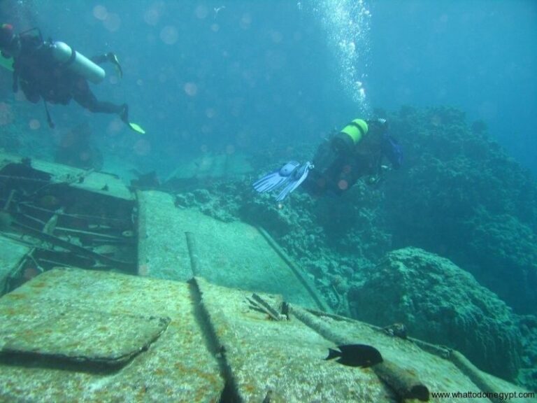 Hurghada, Professionals Diving in Open Water Tour with Lunch - What to Expect: A Day of Marine Exploration and Relaxation