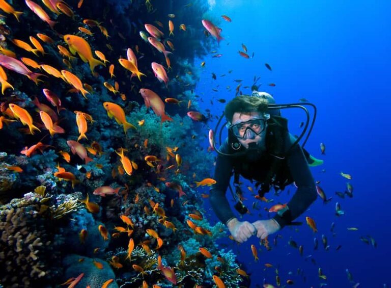 Hurghada- RedSea: Shore Diving with Dolphins and Transfers - What You Can Expect from This Shore Diving Experience