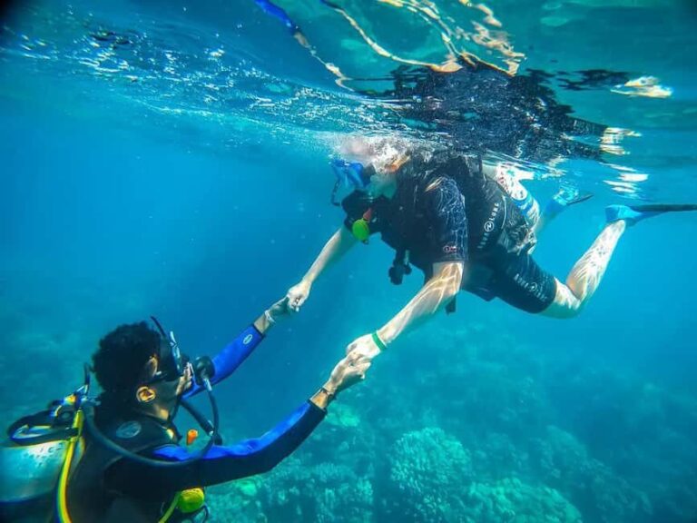 Hurghada: Scuba Diving cruise with lunch & pickup - The Experience Breakdown