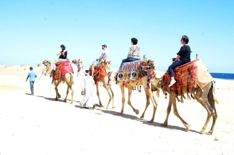 Hurghada: Sea & Desert Camel Ride w/Dinner, Show, Stargazing - Who Should Consider This Tour?