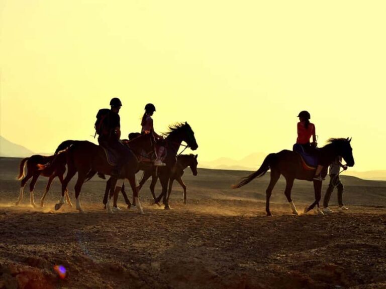 Hurghada: Sea & Desert Horse Tour, Stargazing, Dinner & Show - Final Thoughts: Who Will Love This?