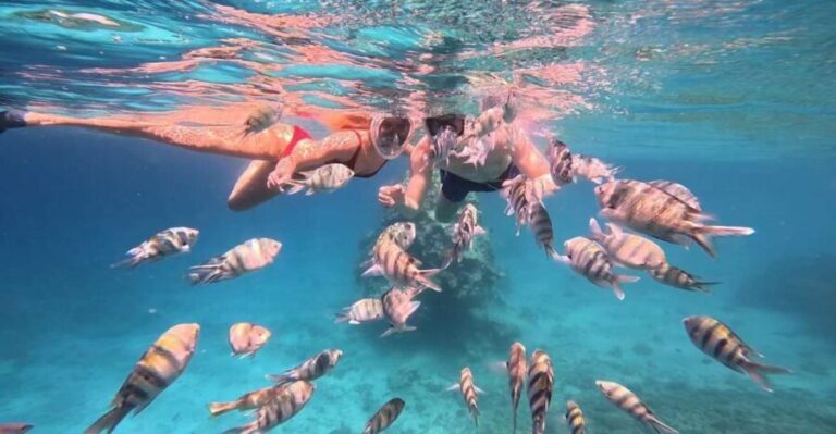 Hurghada: Snorkelling Trip by Speedboat with Hotel Pickup - Pricing and Value