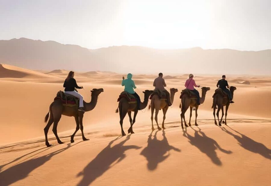 Hurghada: Star Watching Desert Adventure by Jeep with Dinner - The Sum Up