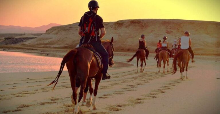 Hurghada: Sunset Sea, Desert Horse W Opt, Dinner, Stargazing - Practical Details and Tips
