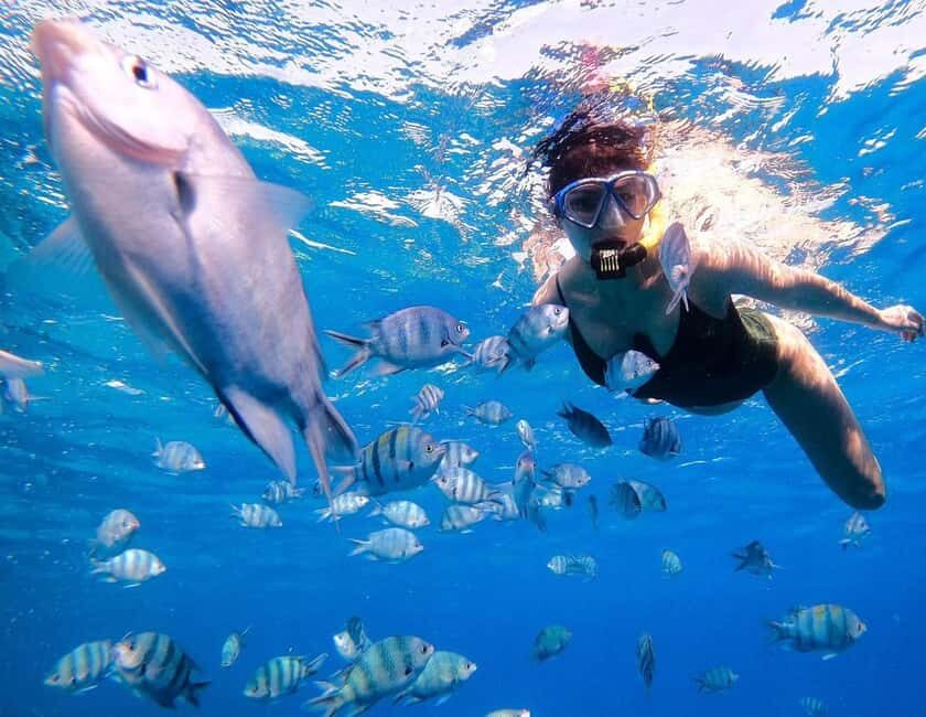 Hurghada:Eden Island Full-Day Trip with Water sports & Lunch - Who Will Enjoy This Tour?