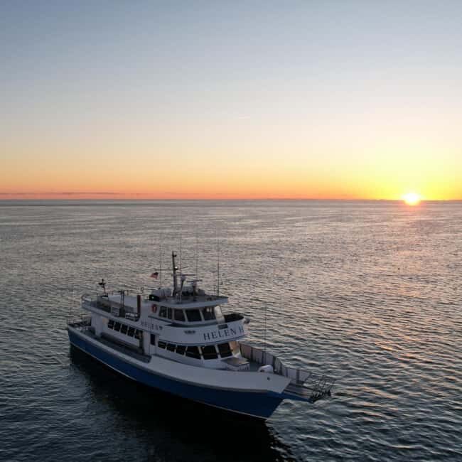 Hyannis: Luau Sunset Cruise in Hyannis Harbor - Who Will Love This Cruise?