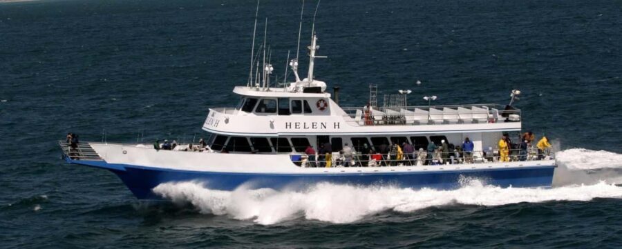 Hyannis: Margarita Sunset Cruise in Hyannis Harbor - FAQ
