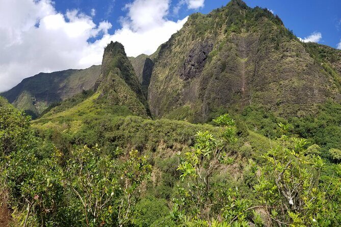 Iao Valley Nature Walk - Who Is This Tour Best For?