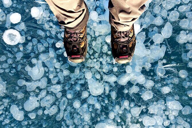 Ice Bubble Adventure on Abraham Lake - Cost and Value