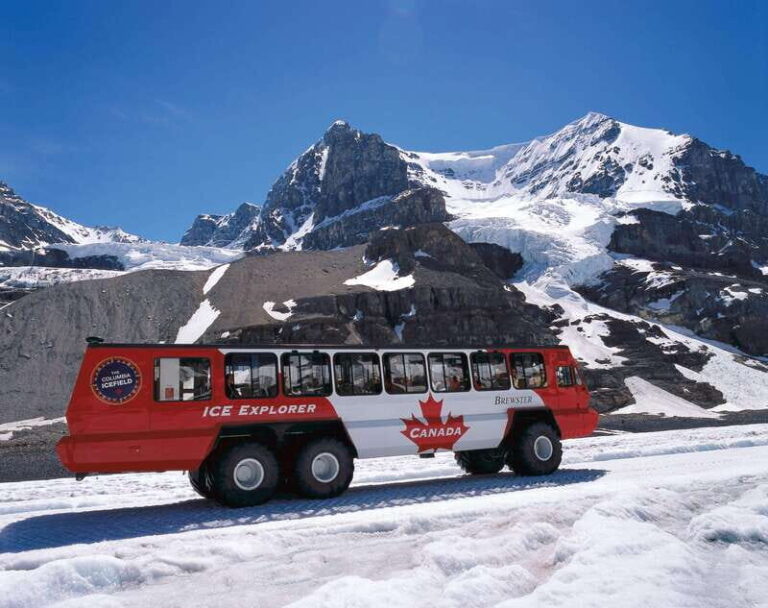Icefield: Icefield Parkway, Bow Lakes & Peyto Lakes Day Tour - The Stops That Make It Special