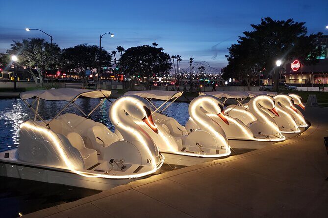 Illuminated Swan Boat Night Ride on Rainbow Lagoon in Long Beach - The Itinerary: From Check-In to Floating Bliss