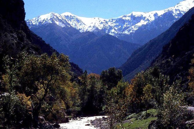 Imlil and Kasbah du Toubkal Day Tour from Marrakech - What It Means for You