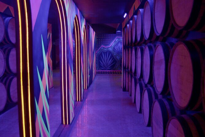 Immersive Experience & Tequila Tasting in Puerto Vallarta - Practical Considerations: What You Should Know