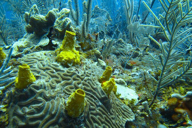 In Contact with Nature, Sian Ka'an Biosphere Boat Ride Tour - The Itinerary—A Day in the Biosphere