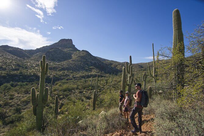 Incredible Hidden Valley Guided Hike in Phoenix, Arizona - Authenticity and Comfort
