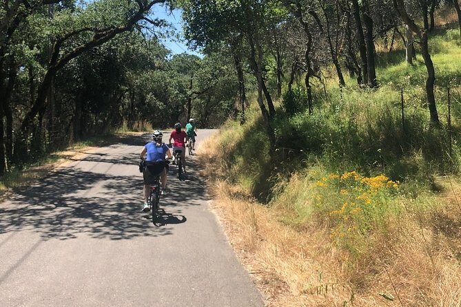 Independent Hassle-free Bike Rental in Sonoma - Equipment and Comfort