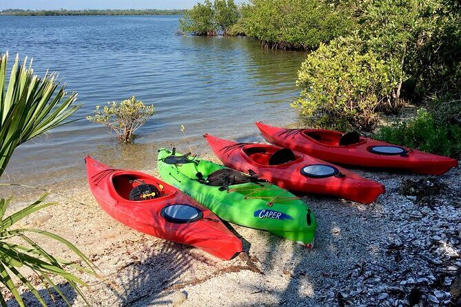 Indian River Lagoon Preserve Kayak Tour - Who Should Consider This Experience?