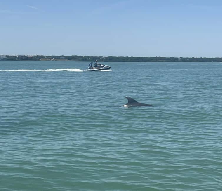 Indian Rocks Beach: Guided Jet Ski Adventure - The Value of this Jet Ski Experience