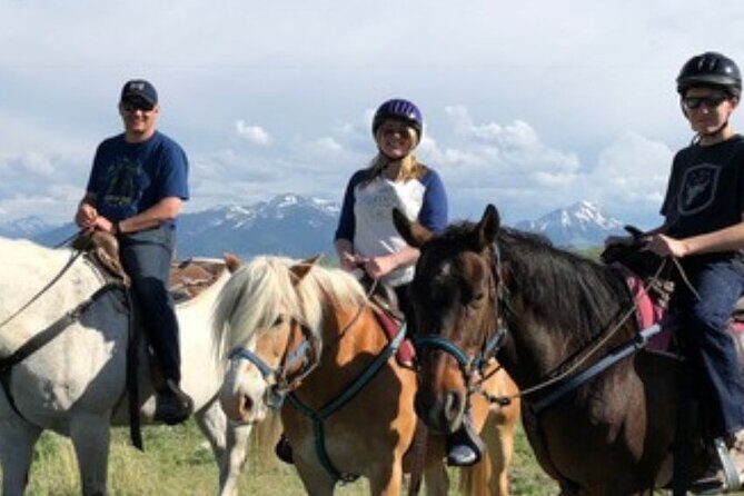 Indoor Horsemanship - FAQ