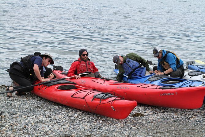 Inside Passage Sea Kayaking in Haines - Who Will Love This Tour?