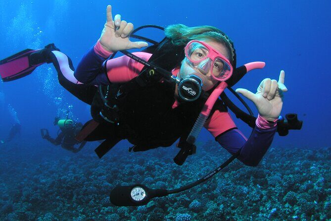 Intro/Refresher Dive Swim Ability Required - The Itinerary in Detail