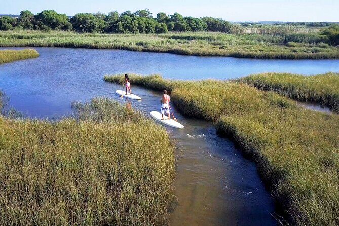 Intro to Stand Up Paddling - Who Will Love This Tour?