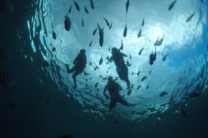 Invisible Boat Snorkeling Tour - Authentic Perspectives from Travelers