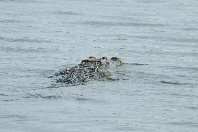 Isla Blanca wildlife expedition private bike & boat tour cancun mexico - The Experience Provider: Contoy Excursions